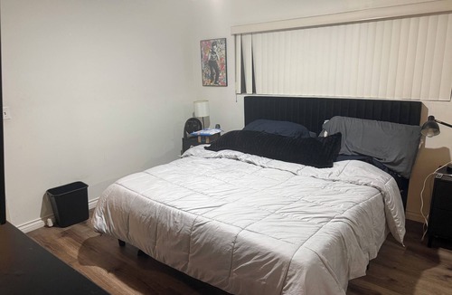 Sawtelle Apartment | West LA Wold Cup Hideaway