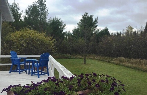 La Pointe House | Willows - 2 Bed/1 Bath Cabin minutes from Downtown
