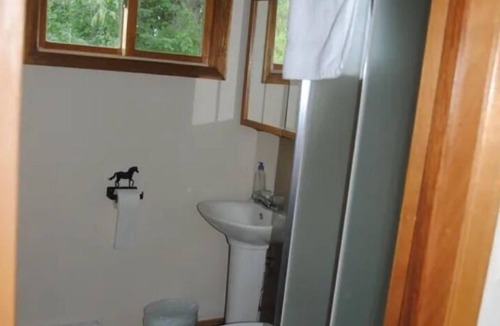 Winter Cottage | Winter Nights Cottages: Cottage 4 Winter, Wisconsin vacation rental