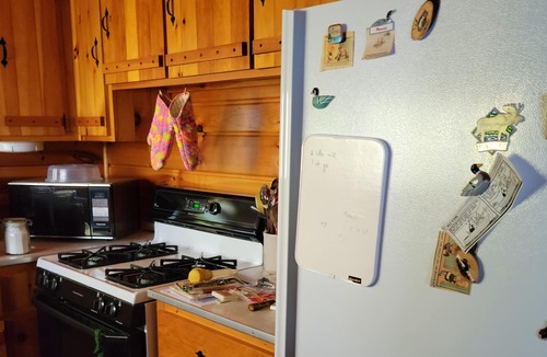 Cook Cabin | Wolfe’s Den Cabin: Lakefront 3BR, Dock Power, Water Toy Fleet, Pet Friendly, AC