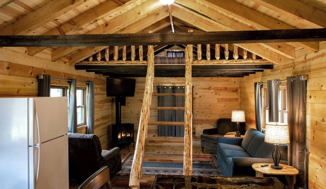 Badger Cabin w/Lofts, Fireplace & WiFi
