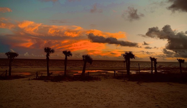 Beautiful Pelican View - Gulf of Mexico