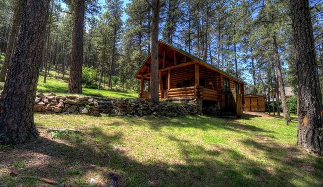 Black Hills Historic Creekside Log Cabin