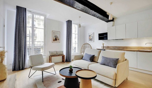 Bright Flat in Central Le Marais with 2 Bedrooms and central AC