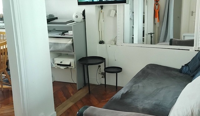 Charming apartment in Les Batignolles