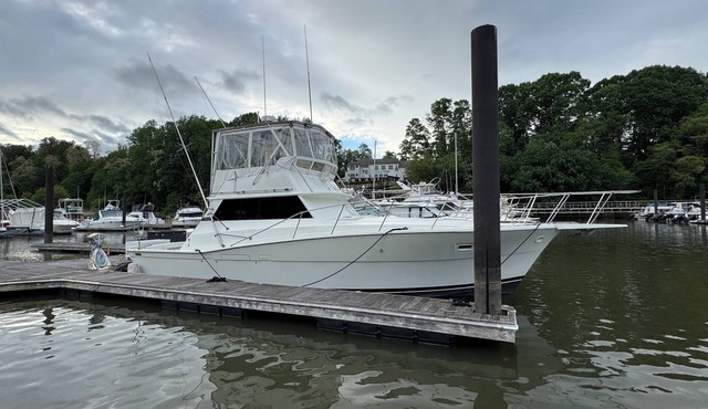 Come stay on our 40 Viking yacht - two bedrooms with restaurant and biking trail