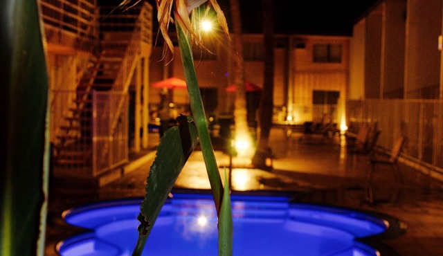 Delos Reyes Palm Springs