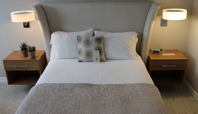 Executive Queen Room in Charming Minneapolis Boutique Hotel