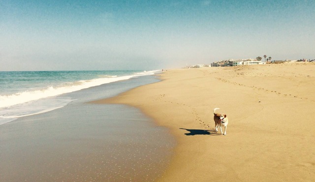 Family Fun Beach House 30 day minimum rental