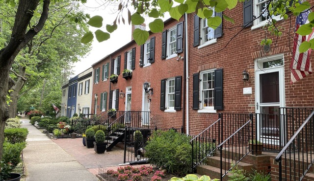 Historic Old Town Alexandria Cozy English Basement Apartment