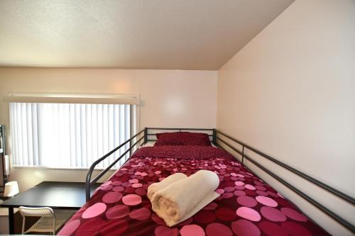 Hostel Style Shared Room