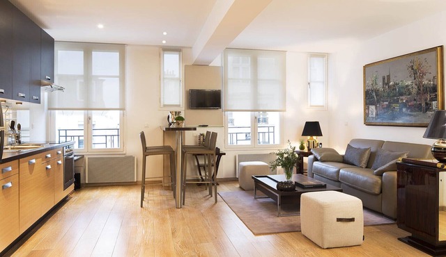 Large and comfortable deluxe flat in Montmartre