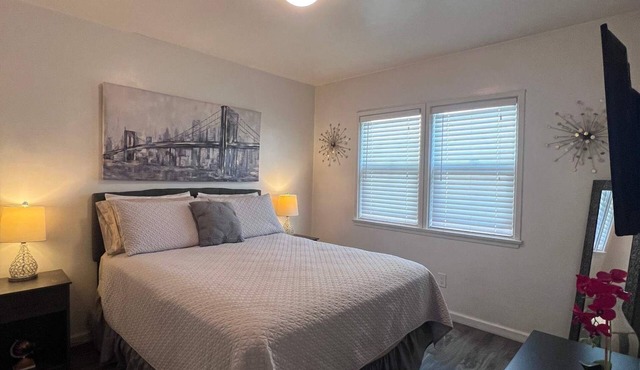 Large Central Apartment Place parking included