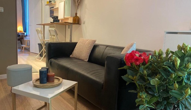 Magnifique appartement T2 aux portes de Paris