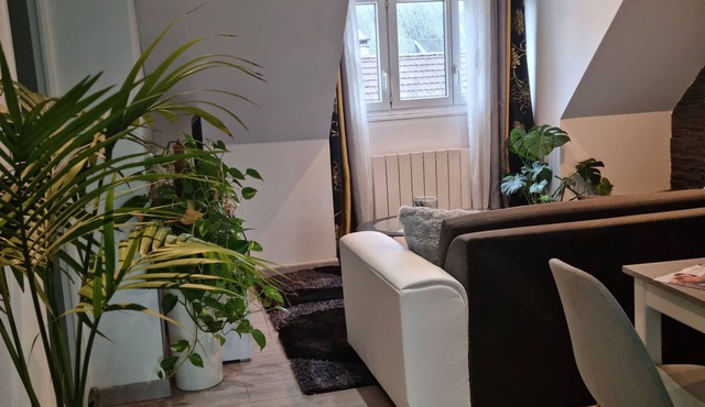 Magnifique T3 hyper center Beauvais, Design all comfort