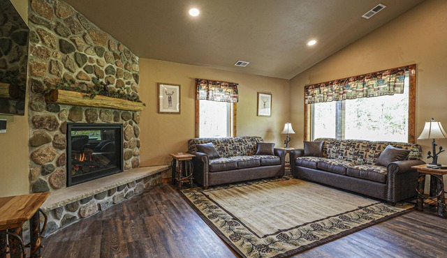 Modern dog-friendly cabin with hot tub, gas fireplace, patio, grill, & washer/dr