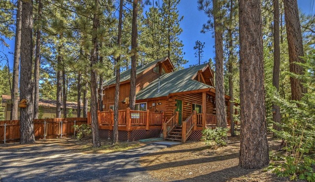 Mountain Log Cabin Walking Distance to Snow Summit! Wood Burning Fireplace! Hulu Live & Roku!