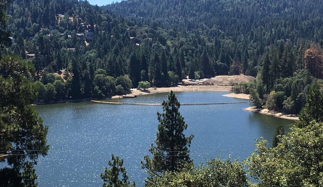 NEW Lake View Cabin getaway! Steps away from the water! 10 beds