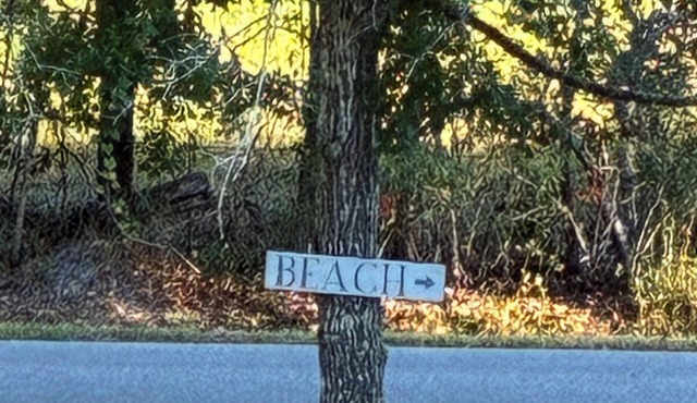 !NEW! The Hoff Shell: Serene Beachside Haven