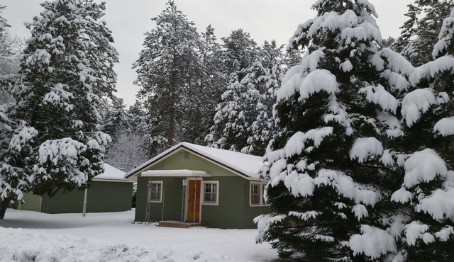 Northwoods Cabin w/Bunkhouse, Garages & located in Lake Country!