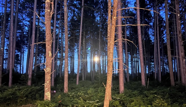 Northwoods Escape! 2026 Wildwood FSX Camper Near Bike Trails, Lakes & Pines