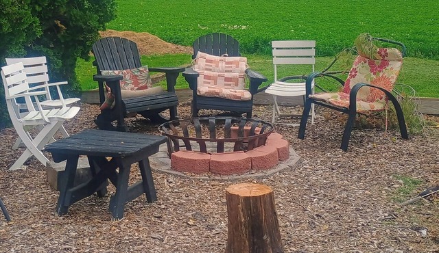 Old Farmhouse/Available Horse And Buggy And Rides/Fire pit/Waterslides