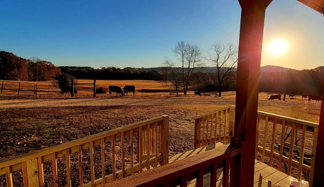 Peaceful Tiny House on 32 acres