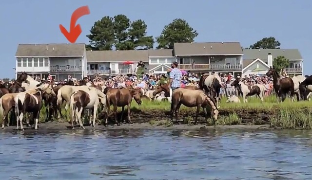Riptide’s Crossing: A waterfront getaway w/deep water dock and incredible views