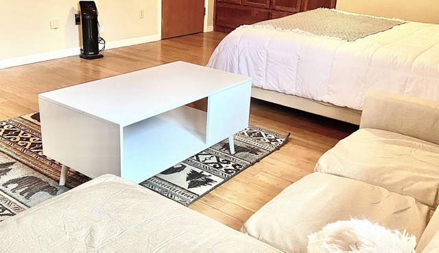 Spacious studio apartment