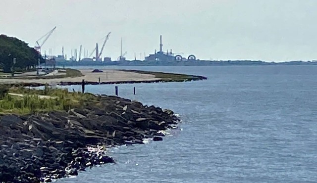 The Driftwood Condo: Relax by the Gulf