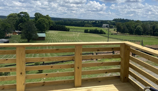 The Vineyard View @M&M Farm