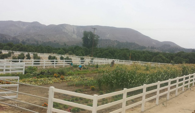 Treehouse and farm stay in Fillmore