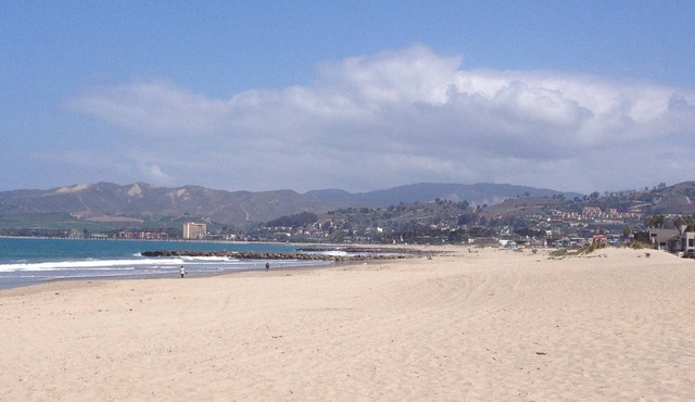Ventura Beach Retreat - Excellent Value! 2 bedroom with garden and patio.
