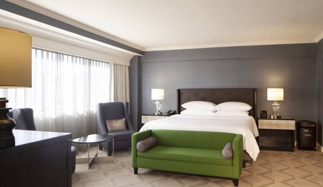 Wellness Deluxe King at Melrose Georgetown Hotel, Pets Allowed