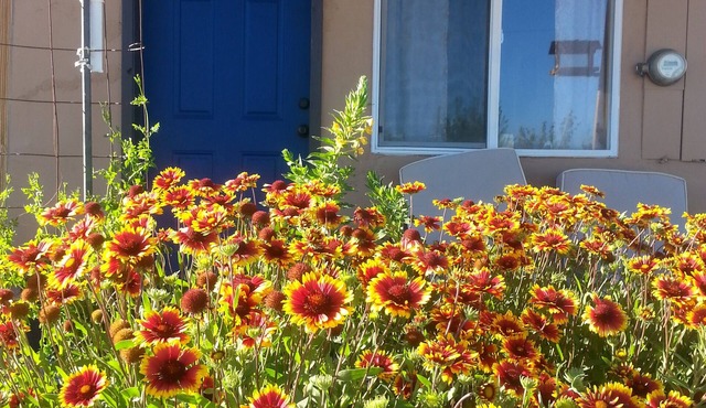 Wild Creek BnB, " Cottage "