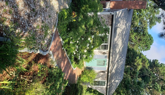 Winter Retreat! Cottage- like Cape Cod Home, wooded, quiet and serene.