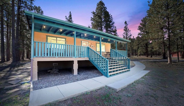 Your Forest Escape! Peaceful, Playful, Unforgettable!