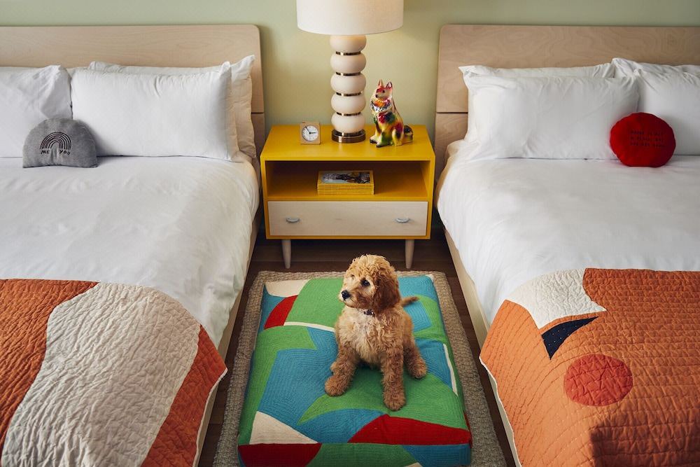 Photo of Bedroom in Wellington