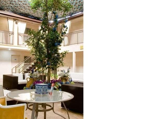 Photo of Patio Balcony in West Los Angeles
