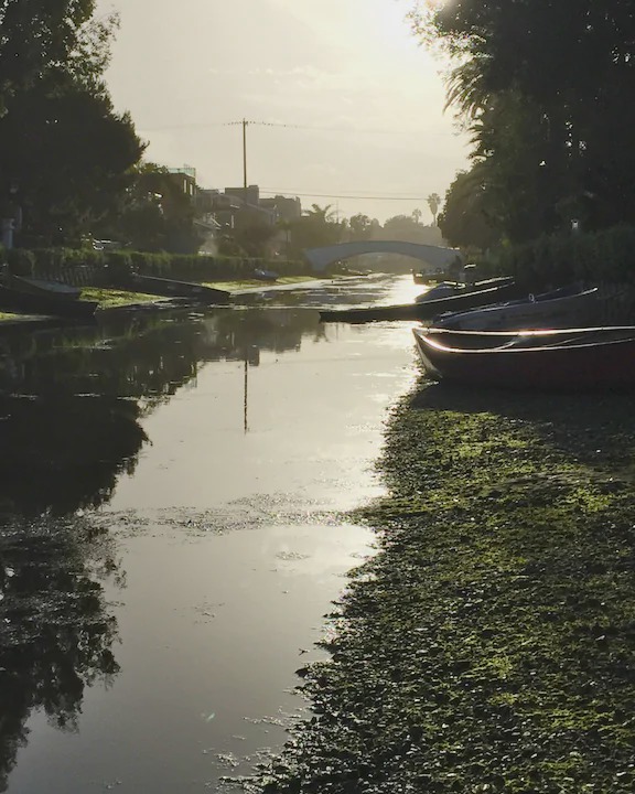 Photo of Others in Venice Canals