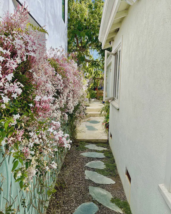 Photo of Others in Venice Canals