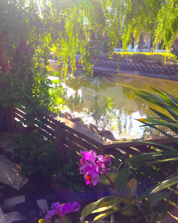 Photo of Others in Venice Canals