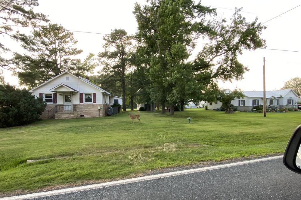 Photo of Others in Piney Point