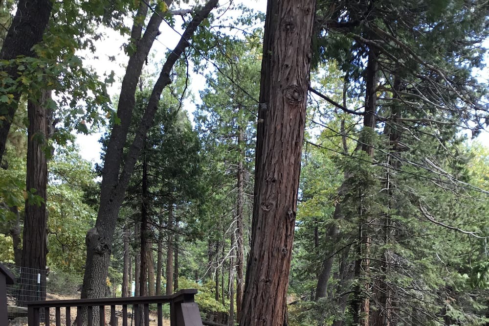 Photo of Others in Alta Sierra