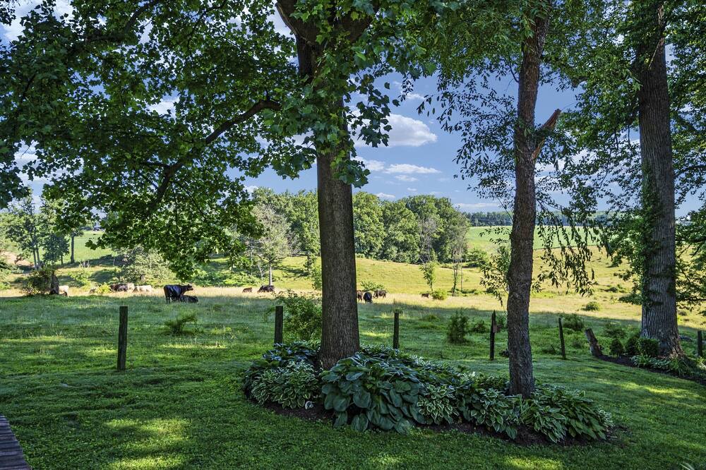 Photo of Outdoor in Baldwin