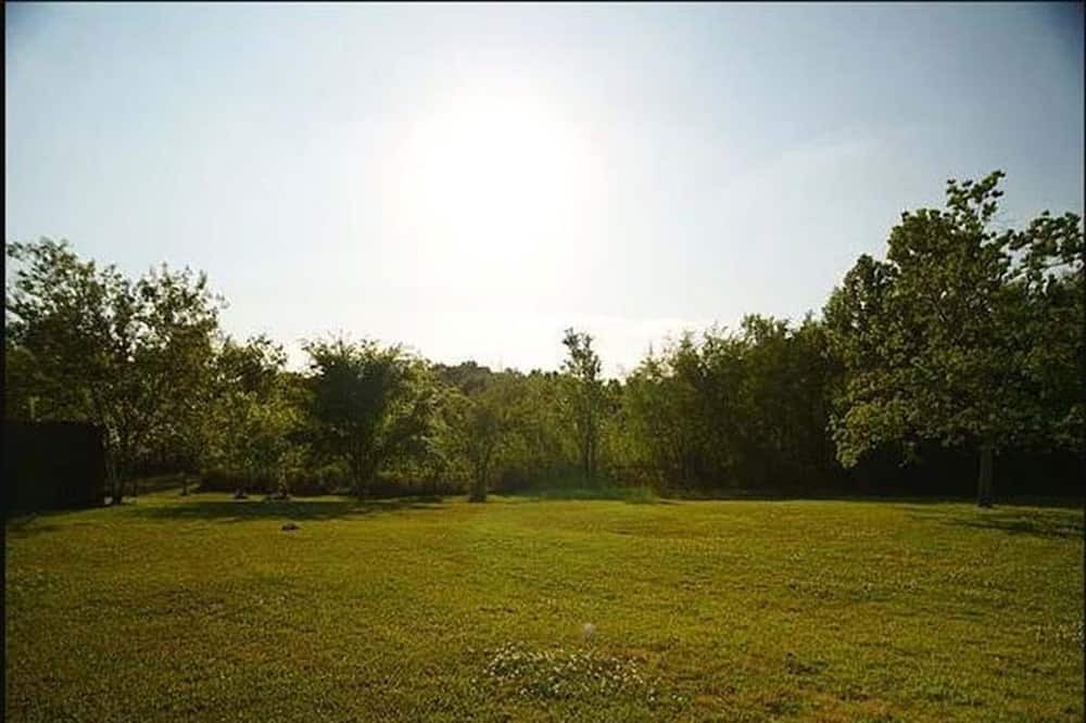 Photo of Others in Sunshine