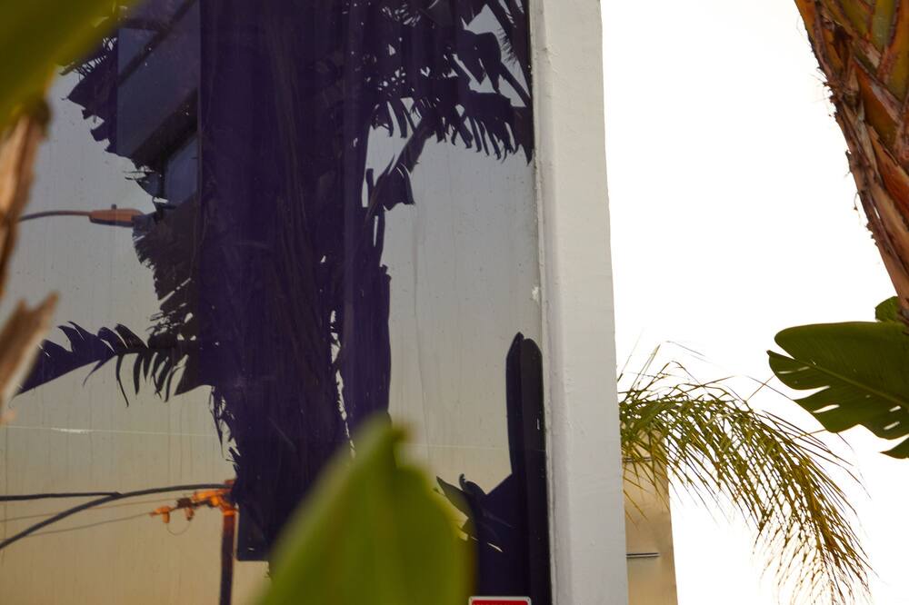 Photo of Outdoor in Ocean Park