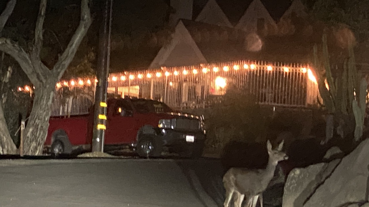 Photo of Outdoor in Simi Valley