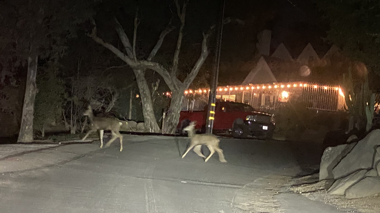 Photo of Outdoor in Simi Valley