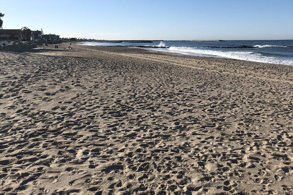 Photo of Others in Pierpont Bay